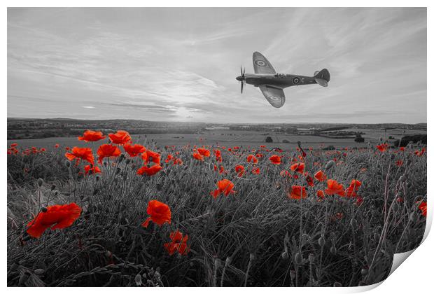 Spitfire Crimson Poppy Fly By Print by J Biggadike
