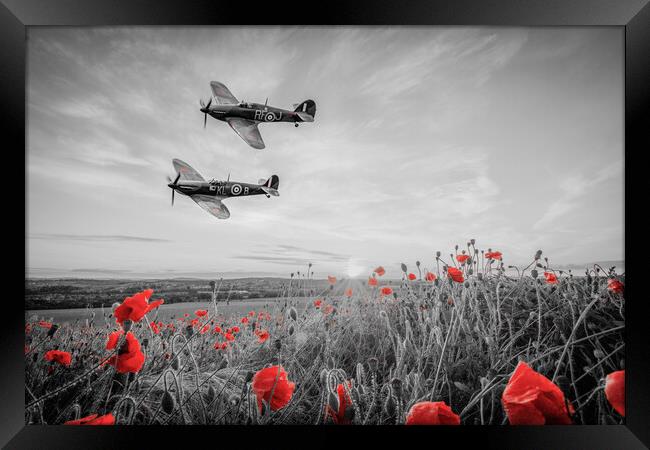 Spitfire and Hurricane Poppy Tribute Framed Print by J Biggadike