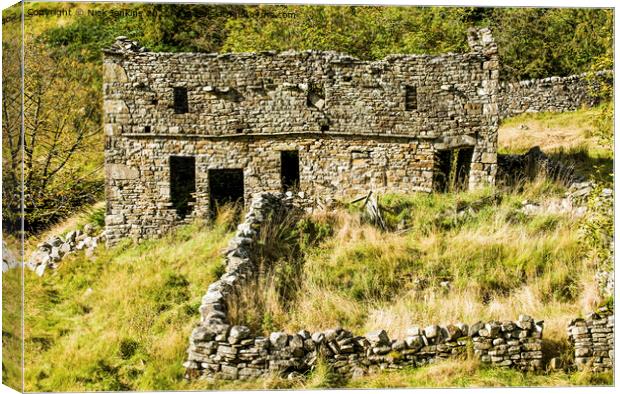 The Remains of a Crumbling Old House Garsdale Canvas Print by Nick Jenkins