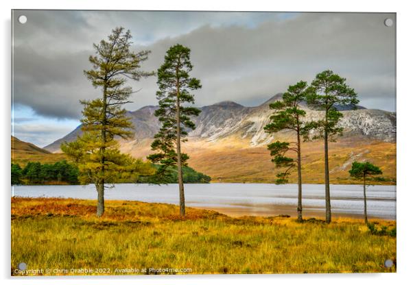 Loch Clair and Ben Eighe in Autumn Acrylic by Chris Drabble