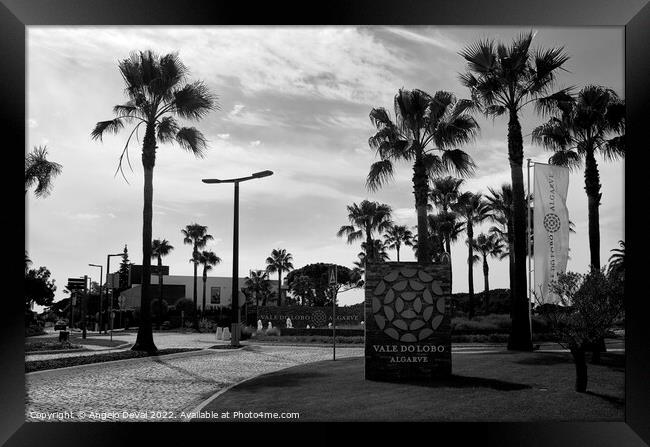 Vale do Lobo Roundabout Framed Print by Angelo DeVal