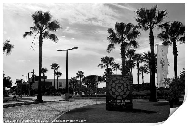 Vale do Lobo Roundabout Print by Angelo DeVal