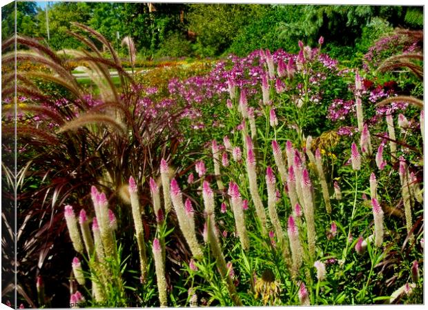 Fall flowers Canvas Print by Stephanie Moore