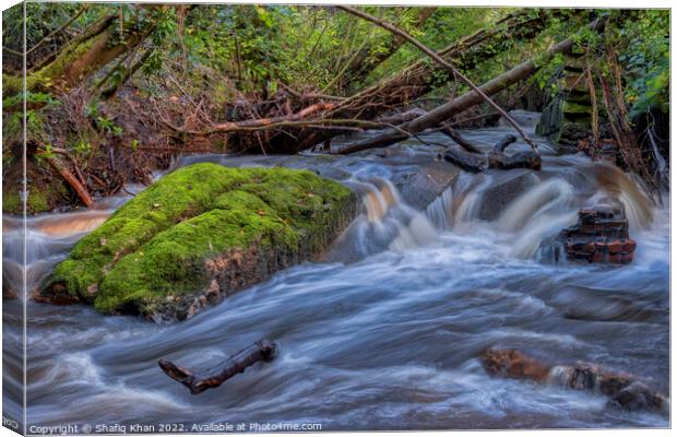 River Roddlesworth, Lancashire Canvas Print by Shafiq Khan