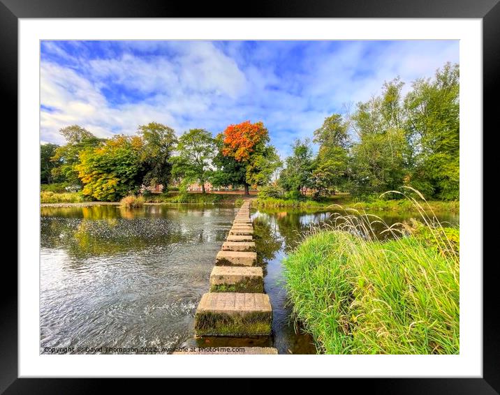 Autumn Stepping Stones Morpeth Framed Mounted Print by David Thompson