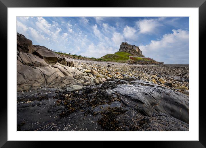Lindisfarne castle Framed Mounted Print by chris smith