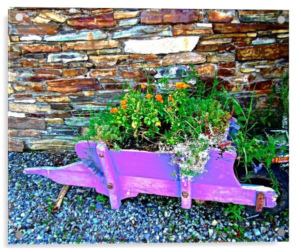 Flowers in a wheelbarrow Acrylic by Stephanie Moore