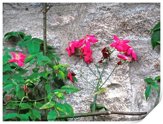 Red flowers Print by Stephanie Moore