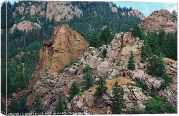 Colorado Rocky Mountains with trees Canvas Print by Robert Brozek