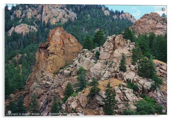 Colorado Rocky Mountains with trees Acrylic by Robert Brozek