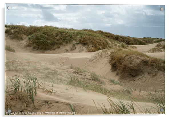 scenic sand dunes at Lakolk on the island Rømø Acrylic by Stig Alenäs