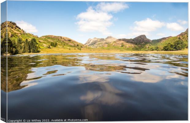 Swimmer's View, Blea Tarn Canvas Print by Liz Withey
