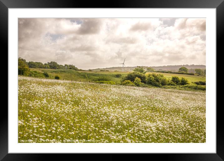 Summer Meadow Framed Mounted Print by Liz Withey