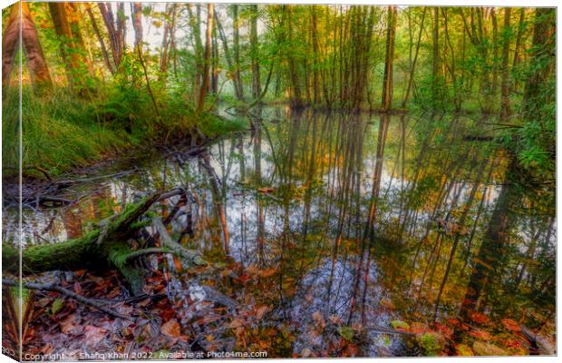 Autumn Pond Reflection (Feniscowles) Canvas Print by Shafiq Khan