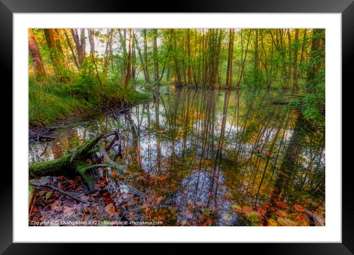 Autumn Pond Reflection (Feniscowles) Framed Mounted Print by Shafiq Khan
