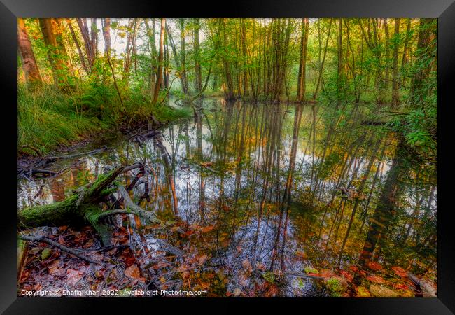 Autumn Pond Reflection (Feniscowles) Framed Print by Shafiq Khan