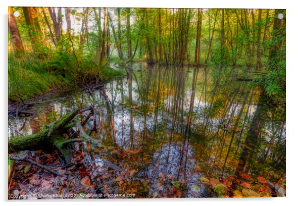 Autumn Pond Reflection (Feniscowles) Acrylic by Shafiq Khan