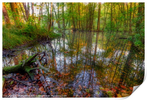 Autumn Pond Reflection (Feniscowles) Print by Shafiq Khan