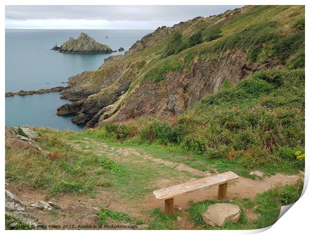 Bench overlooking cliffs Print by Mike Owen
