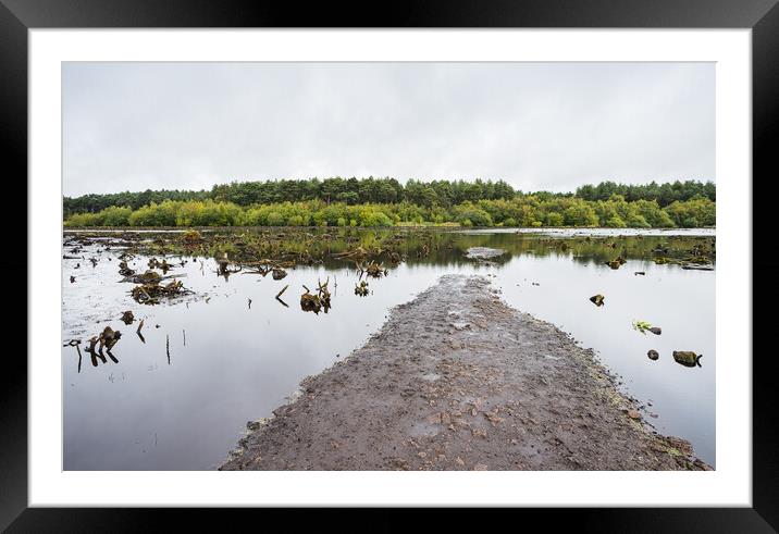 Path at Blakemere Moss Framed Mounted Print by Jason Wells