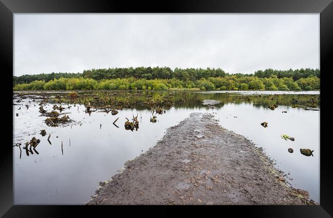 Path at Blakemere Moss Framed Print by Jason Wells