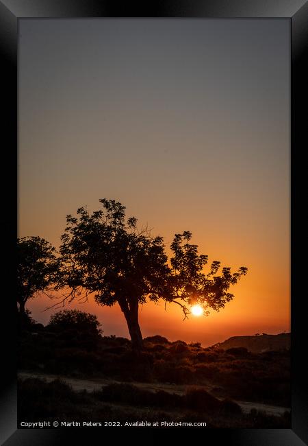 Cypriot Sunset Tree Framed Print by Martin Yiannoullou