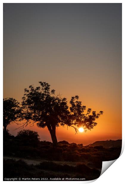 Cypriot Sunset Tree Print by Martin Yiannoullou