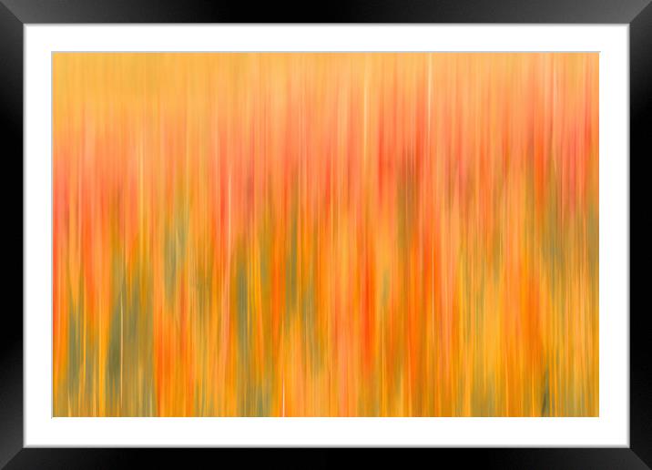 Golden Waves of Sand Framed Mounted Print by DAVID FRANCIS