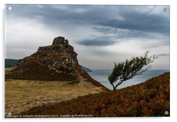 Valley of Rocks Acrylic by DiFigiano Photography