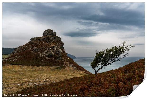 Valley of Rocks Print by DiFigiano Photography