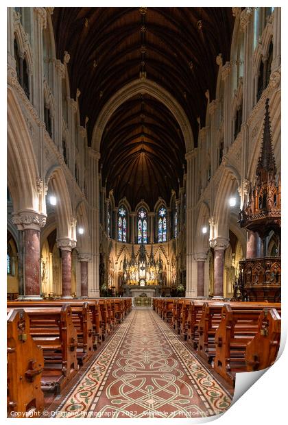 Cobh Cathedral Print by DiFigiano Photography