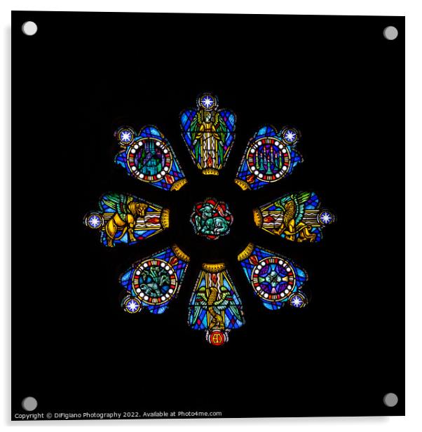 The Rose Window Acrylic by DiFigiano Photography