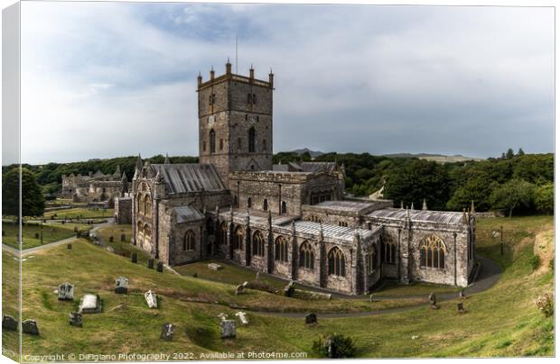 St Davids Cathedral Canvas Print by DiFigiano Photography