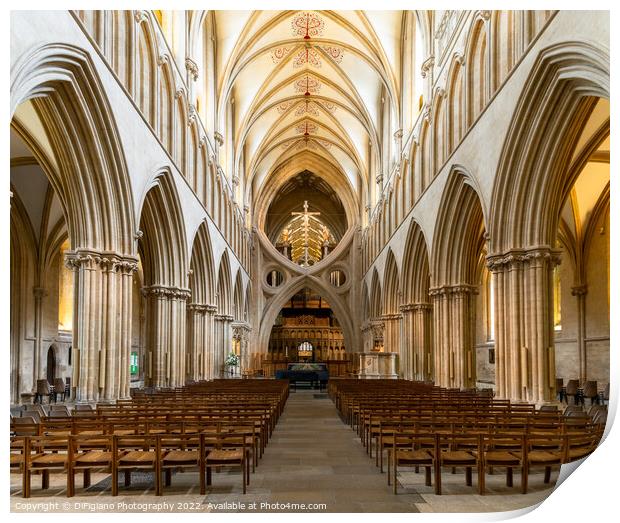 Wells Cathedral Print by DiFigiano Photography