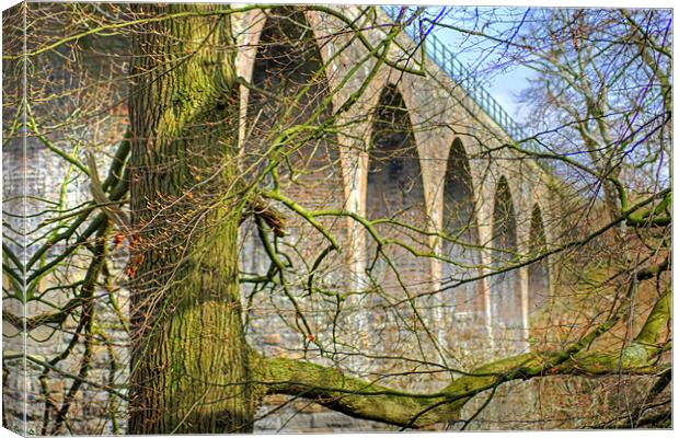 Camps Viaduct Canvas Print by Tom Gomez