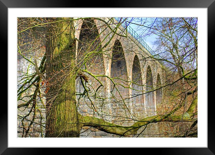 Camps Viaduct Framed Mounted Print by Tom Gomez