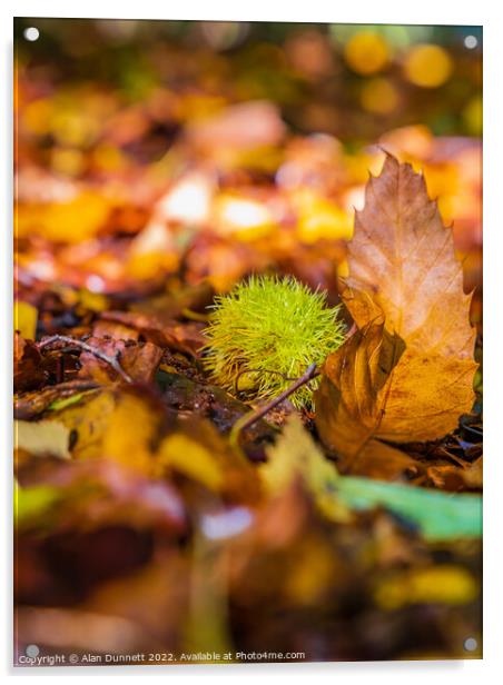 Seeds of autumn Acrylic by Alan Dunnett