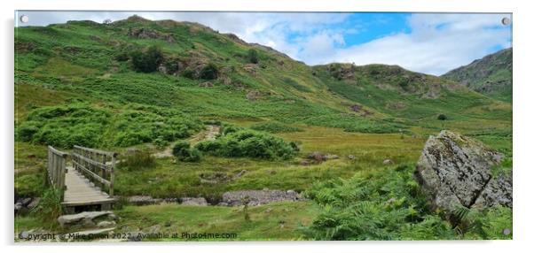 Catstye Cam Acrylic by Mike Owen