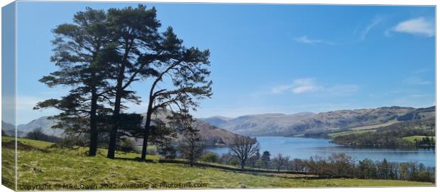 Tree overlooking Ullswater Canvas Print by Mike Owen