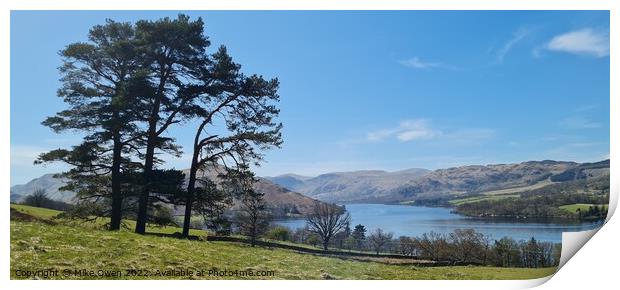 Tree overlooking Ullswater Print by Mike Owen