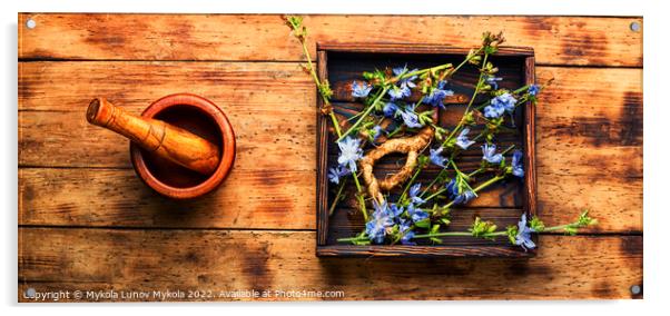 Chicory root, weed Acrylic by Mykola Lunov Mykola