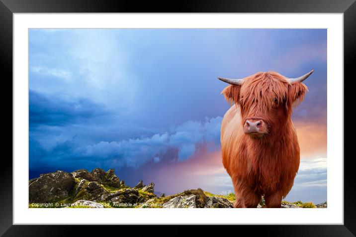 Portrait of a Scottish Highland cow over a burning sky Framed Mounted Print by Laurent Renault