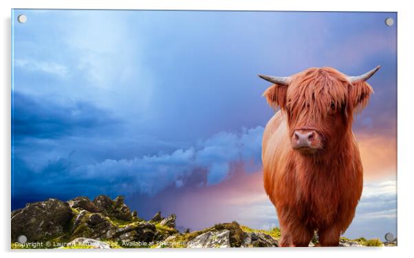Portrait of a Scottish Highland cow over a burning sky Acrylic by Laurent Renault