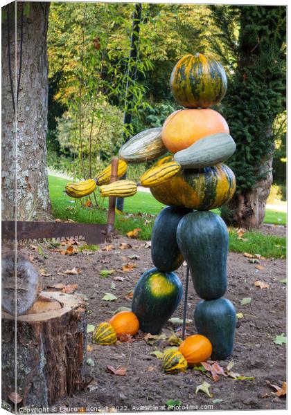 Figure made by assembled cucurbits Canvas Print by Laurent Renault