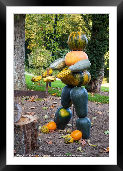 Figure made by assembled cucurbits Framed Mounted Print by Laurent Renault