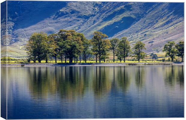Buttermere lake reflection, UK Canvas Print by Phil Crean