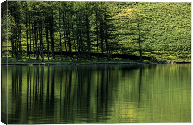 Buttermere lake  Canvas Print by Phil Crean