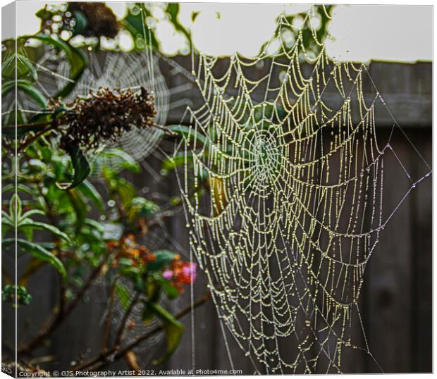 Garden Galaxy of Webs Canvas Print by GJS Photography Artist