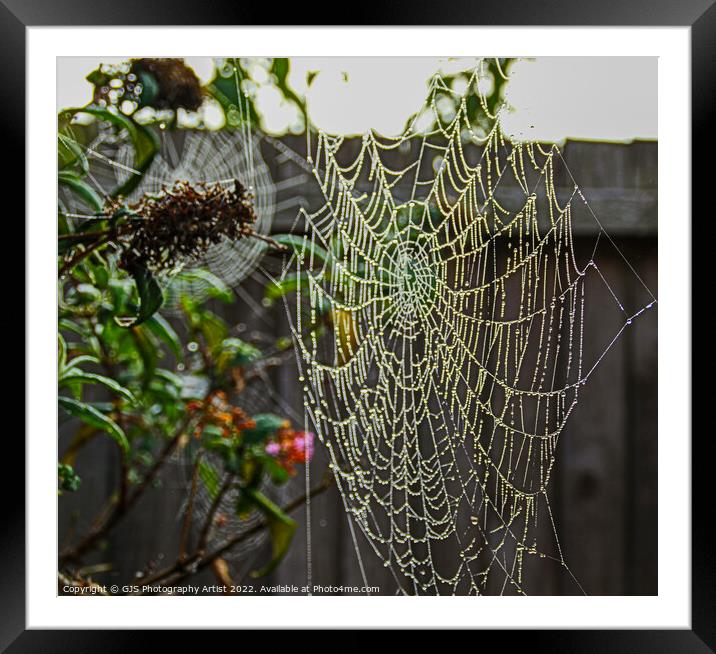 Garden Galaxy of Webs Framed Mounted Print by GJS Photography Artist