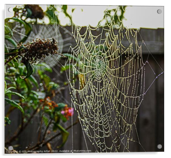 Garden Galaxy of Webs Acrylic by GJS Photography Artist